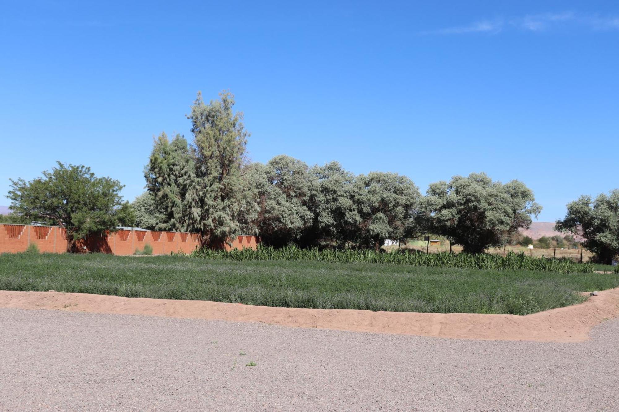 Atacamatoconar Bed and Breakfast Solor Esterno foto