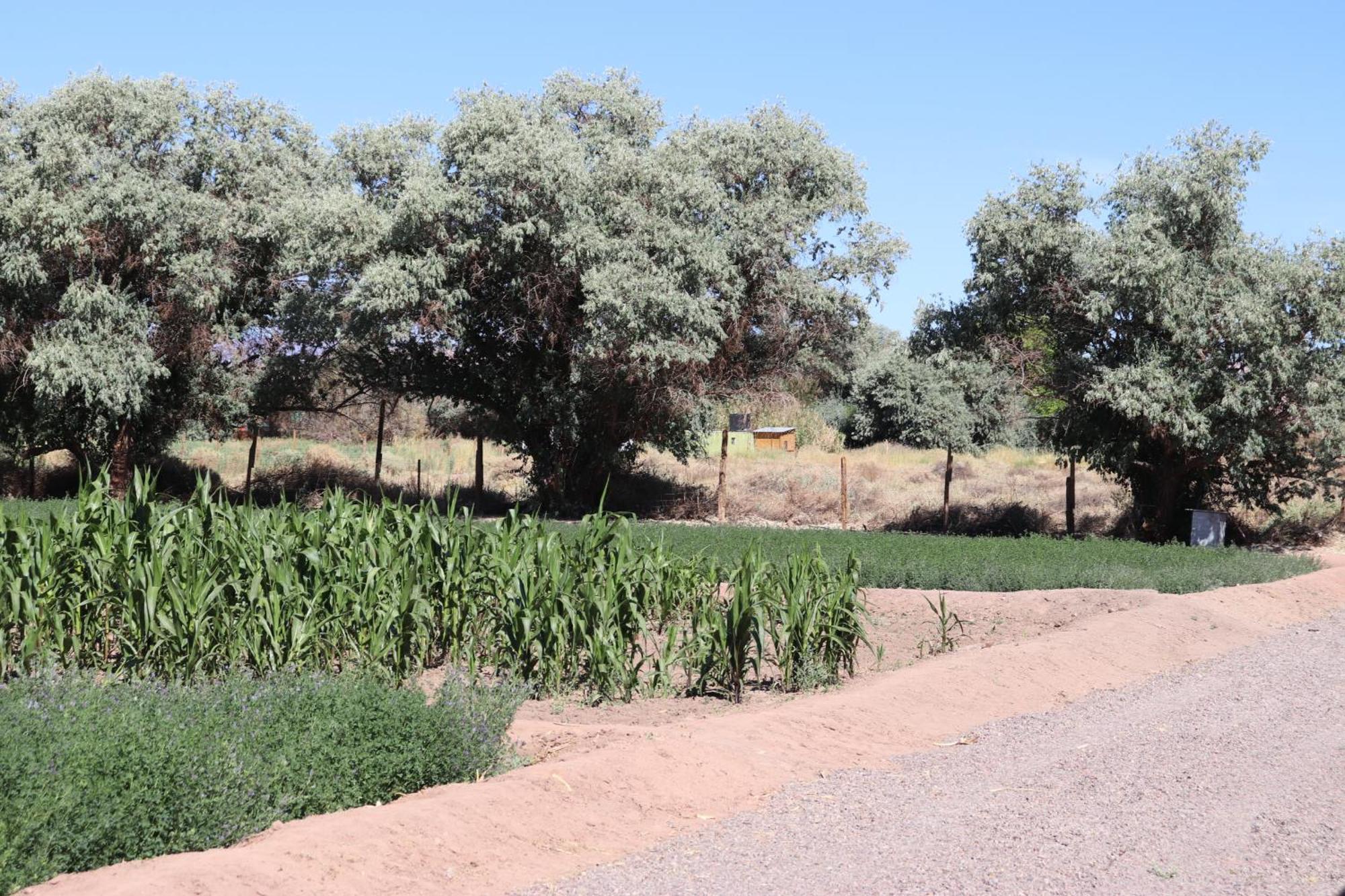 Atacamatoconar Bed and Breakfast Solor Esterno foto